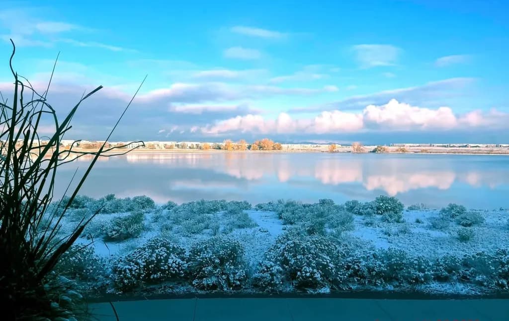Winter Reflections