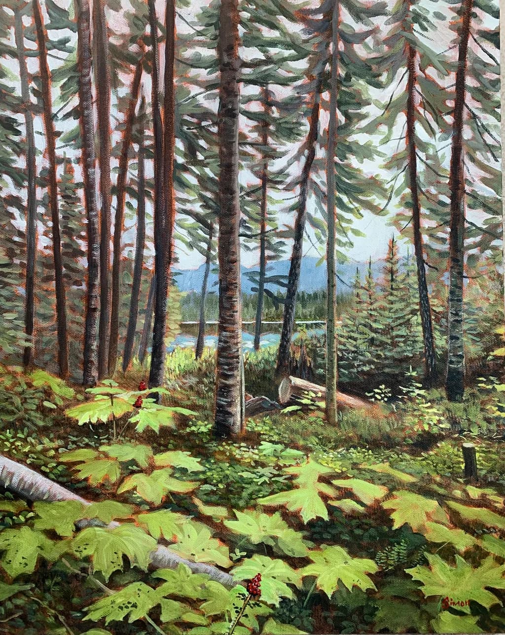 LaSalle Lake Campground 