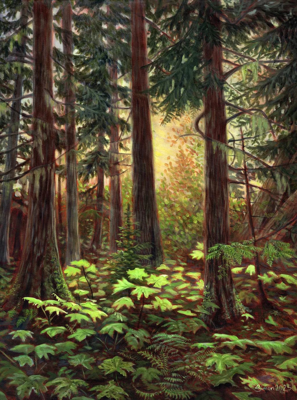 Ancient Forest - Striking Light