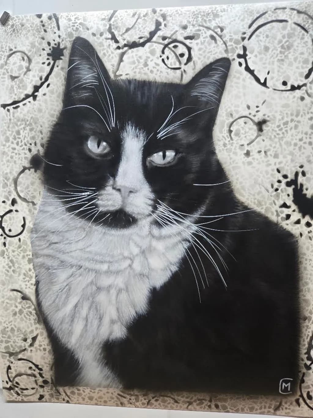 Tuxedo Gaze