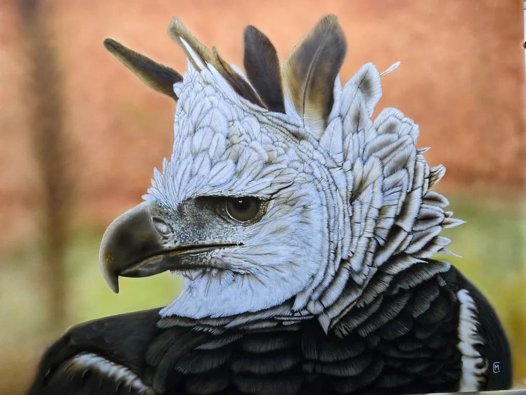 Majestic Raptor