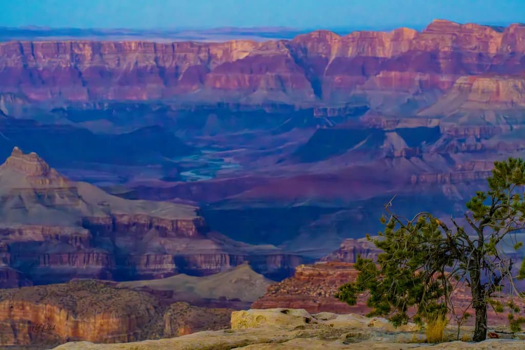 Canyon Vista