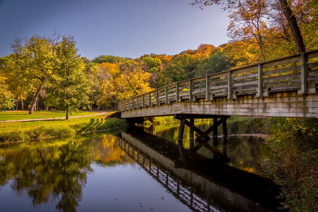 Autumn Reflections