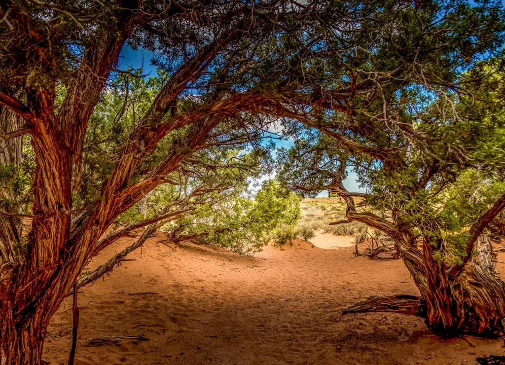 Natural Arch
