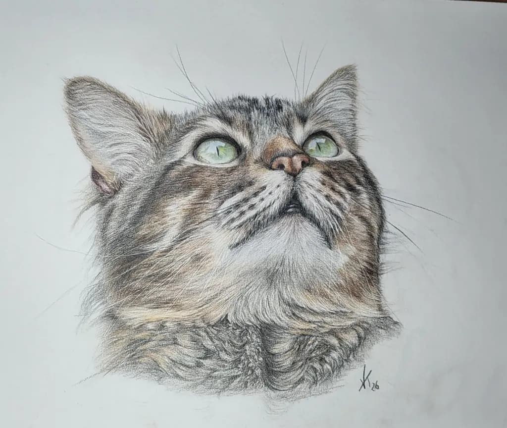 Cat Gaze Portrait