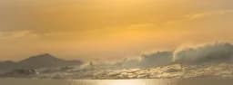 Golden Waves