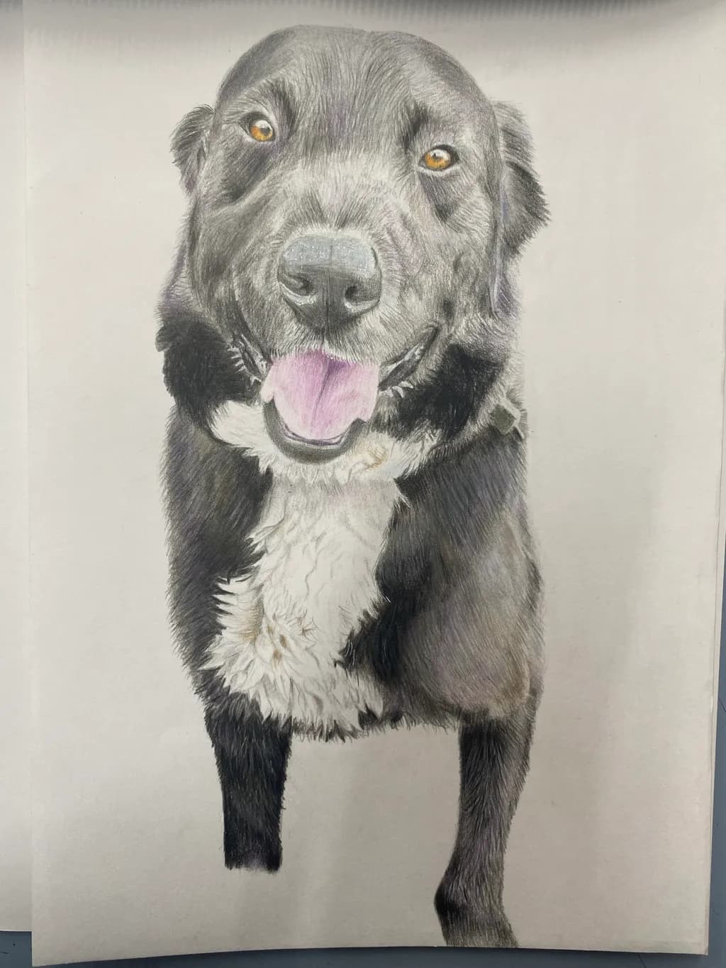 Joyful Canine Portrait