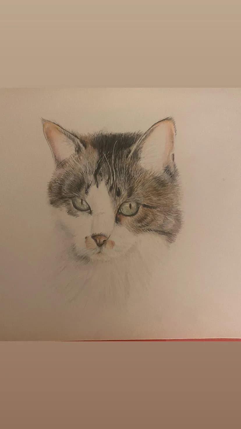 Cat Portrait