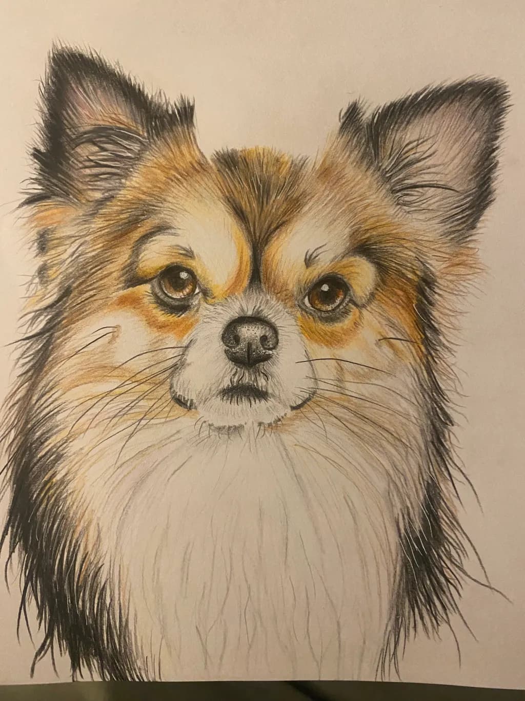 Charming Canine Portrait
