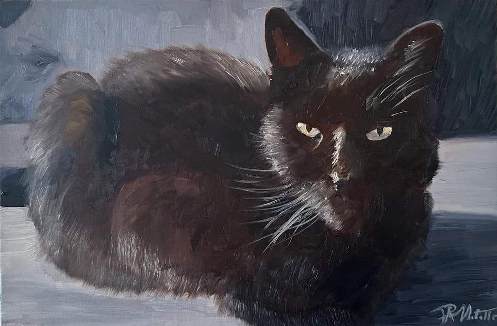 Bagheera the cat