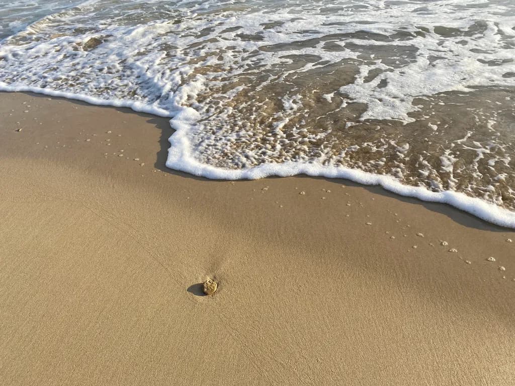 Coastal Calm