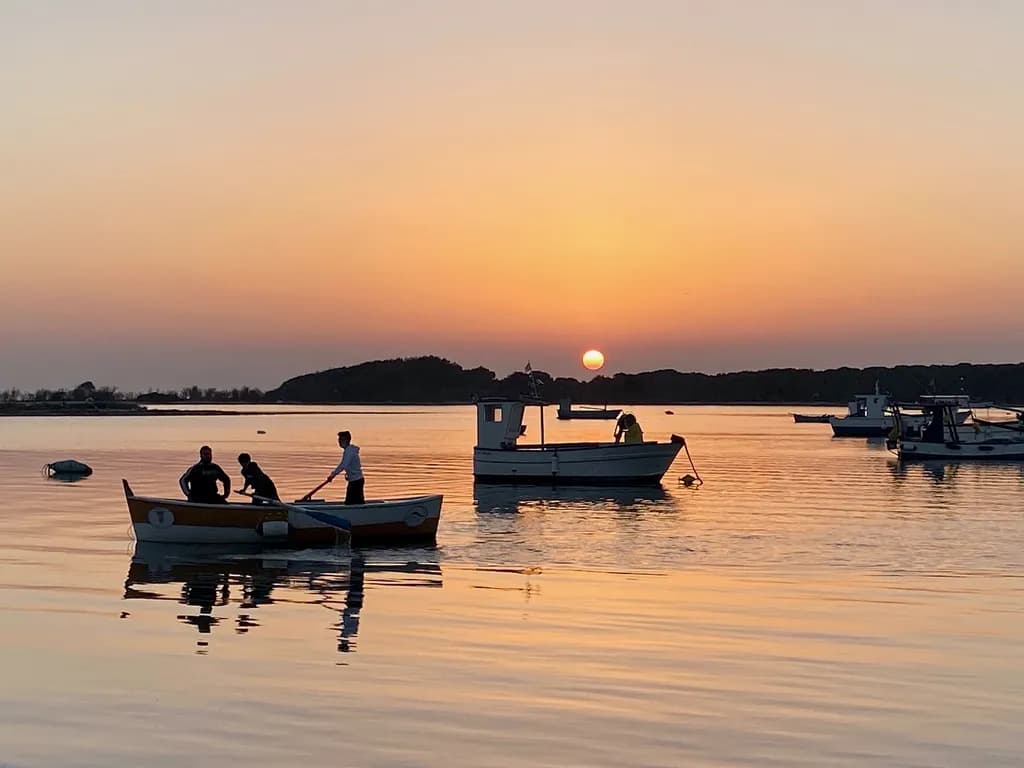 Sunset Rowing