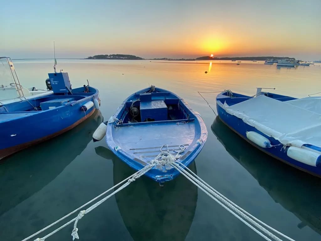 Serenity at Dawn