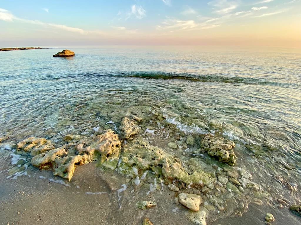 Coastal Serenity