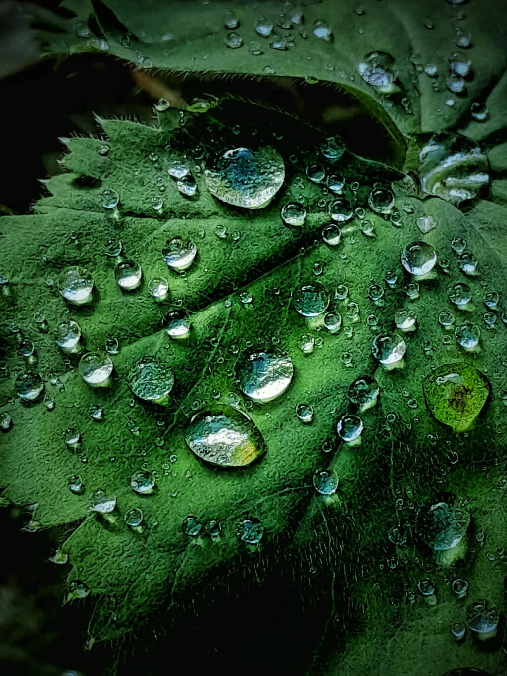 Droplet Symphony