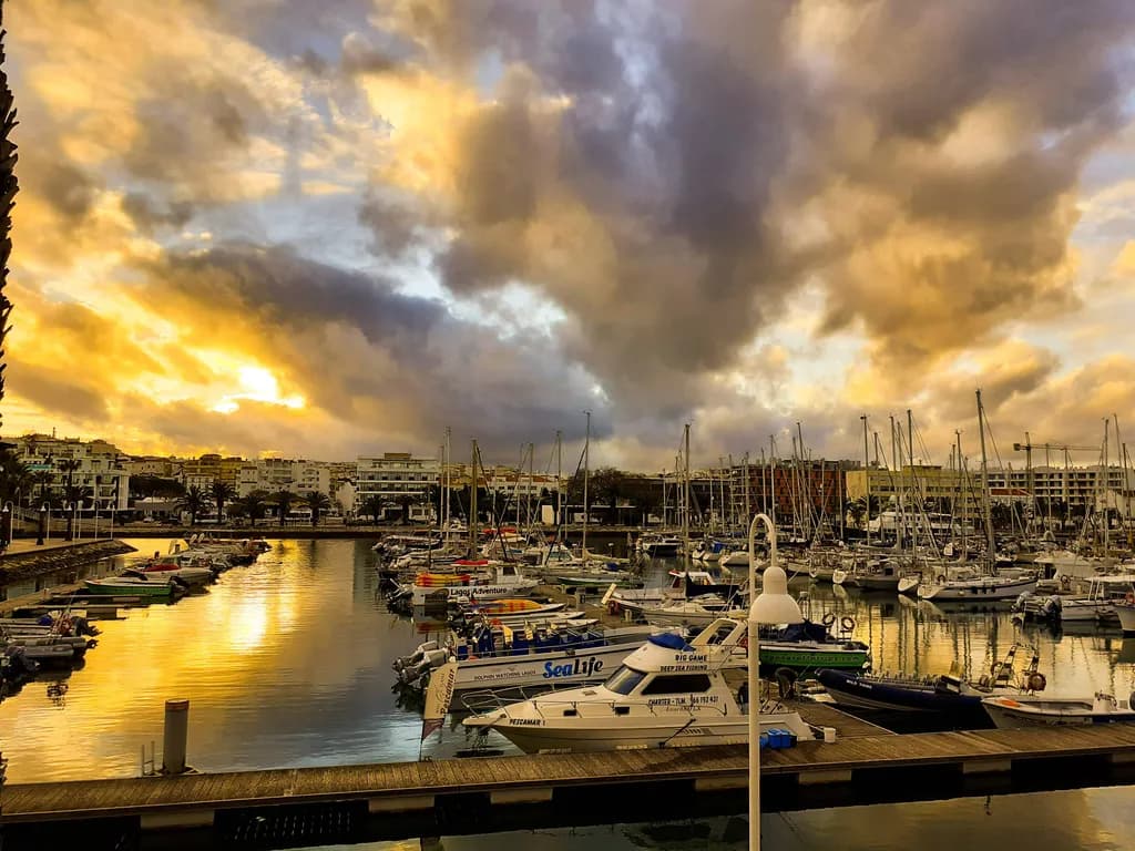 Harbor Glow