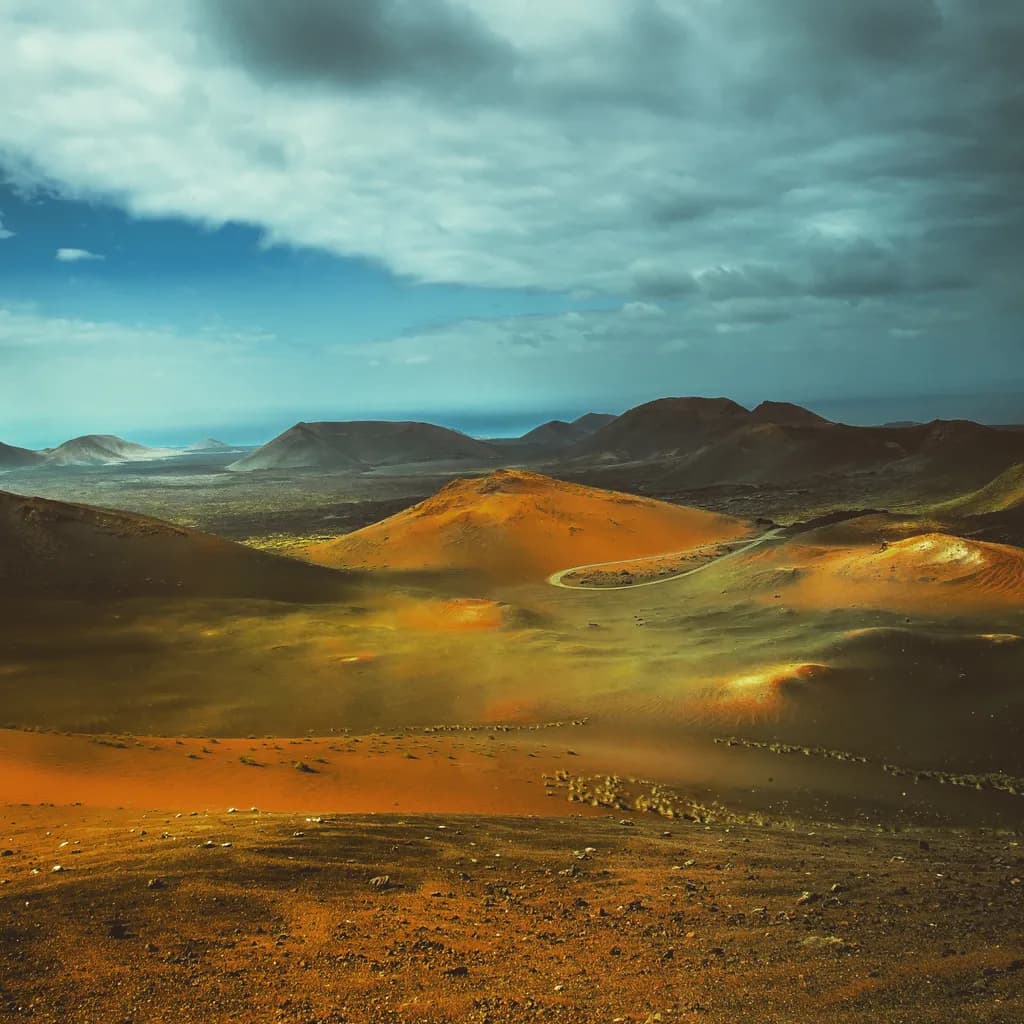 Desert Dreams