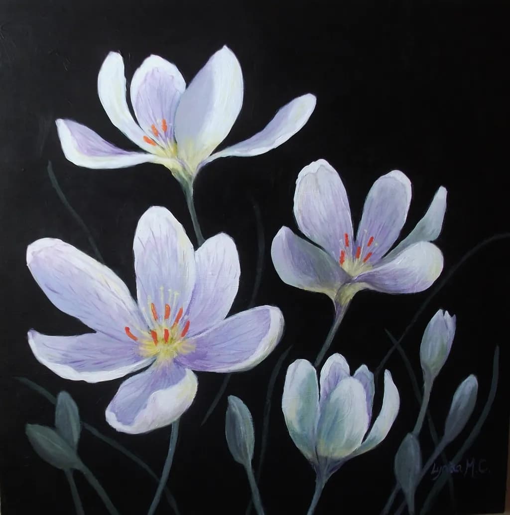 Crocus Bloom