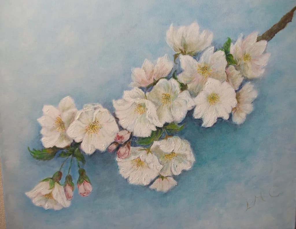 Cherry Blossom 