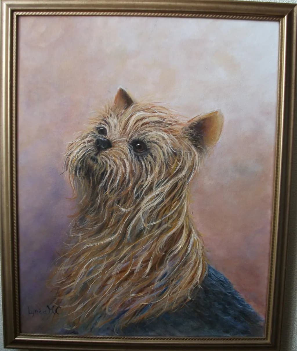 Yorkie Portrait
