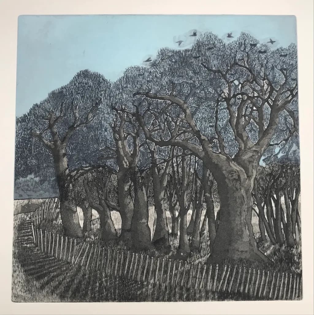 A Rookery