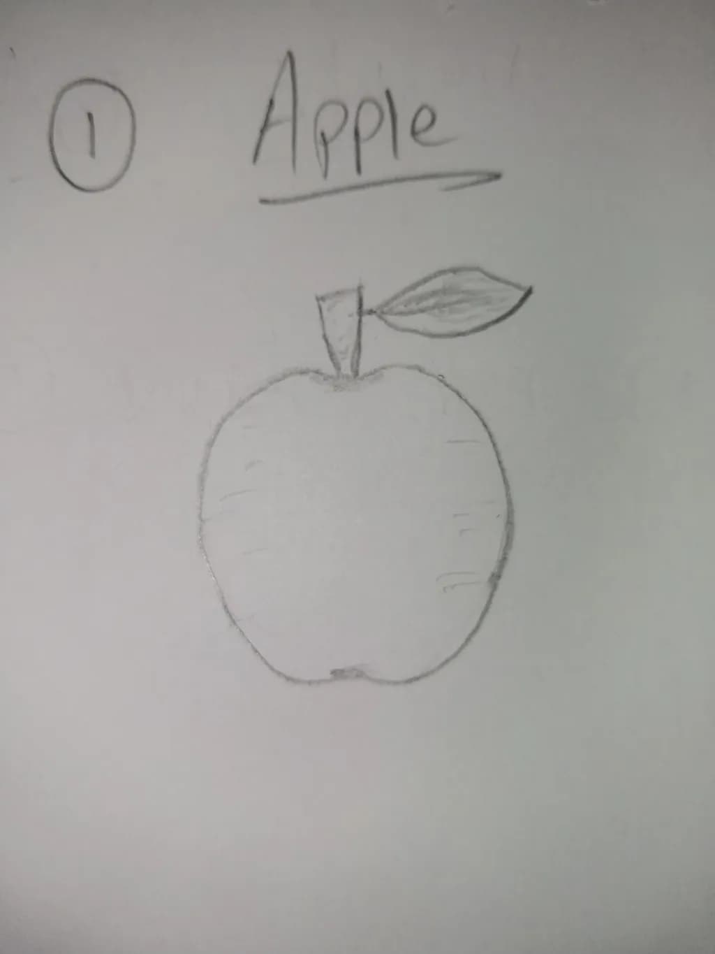 Apple Sketch