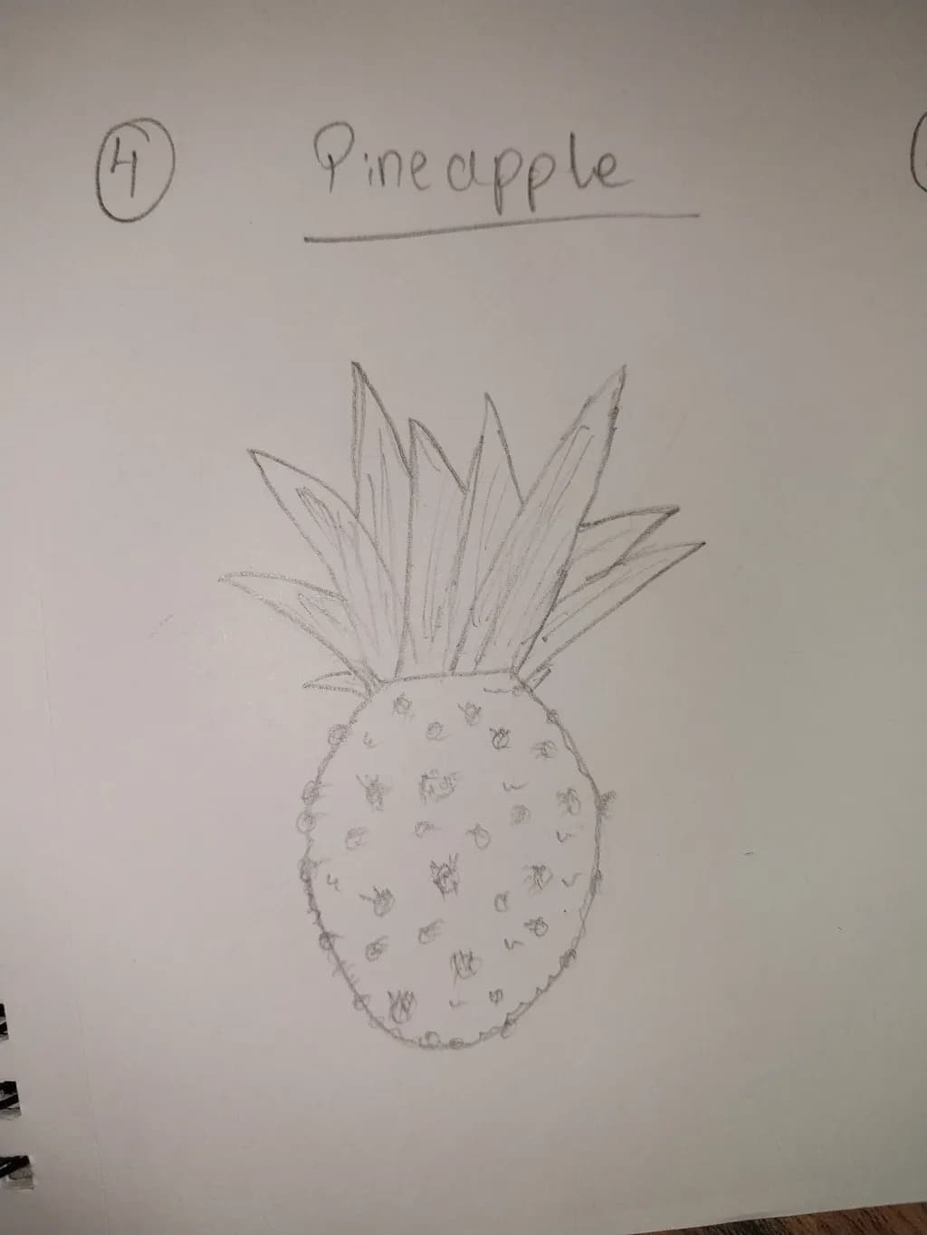 Pineapple Sketch
