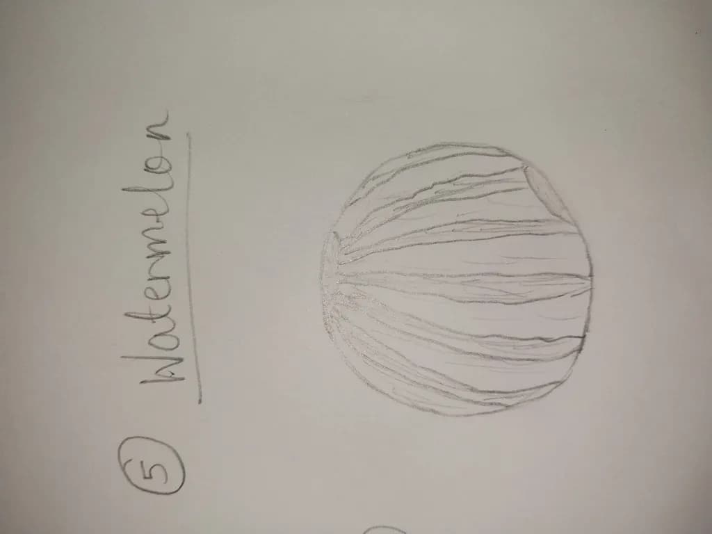 Watermelon Sketch
