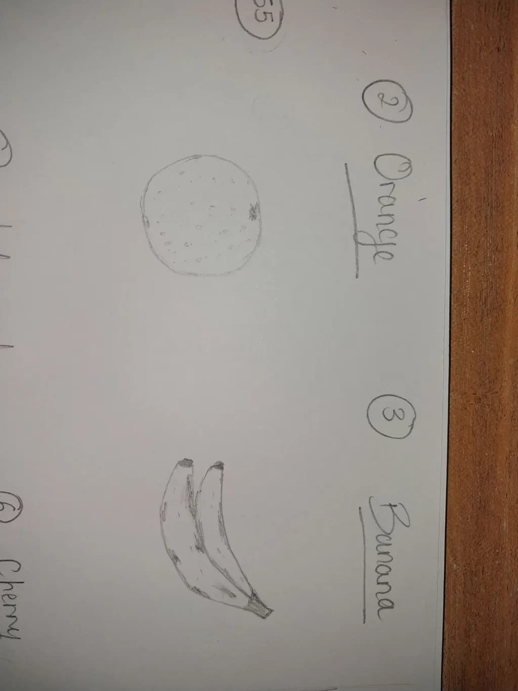 Fruit Sketches