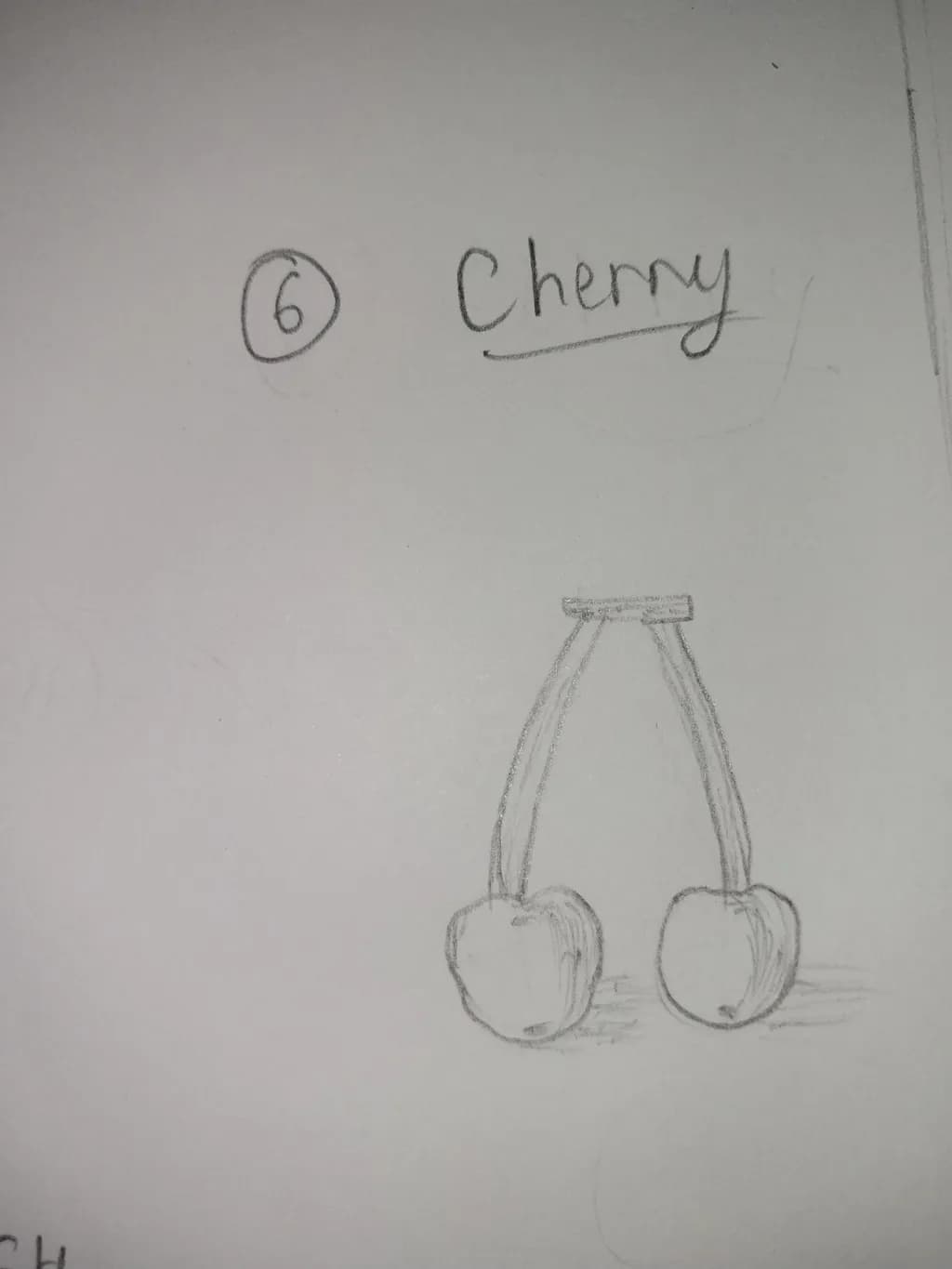 Cherry Sketch