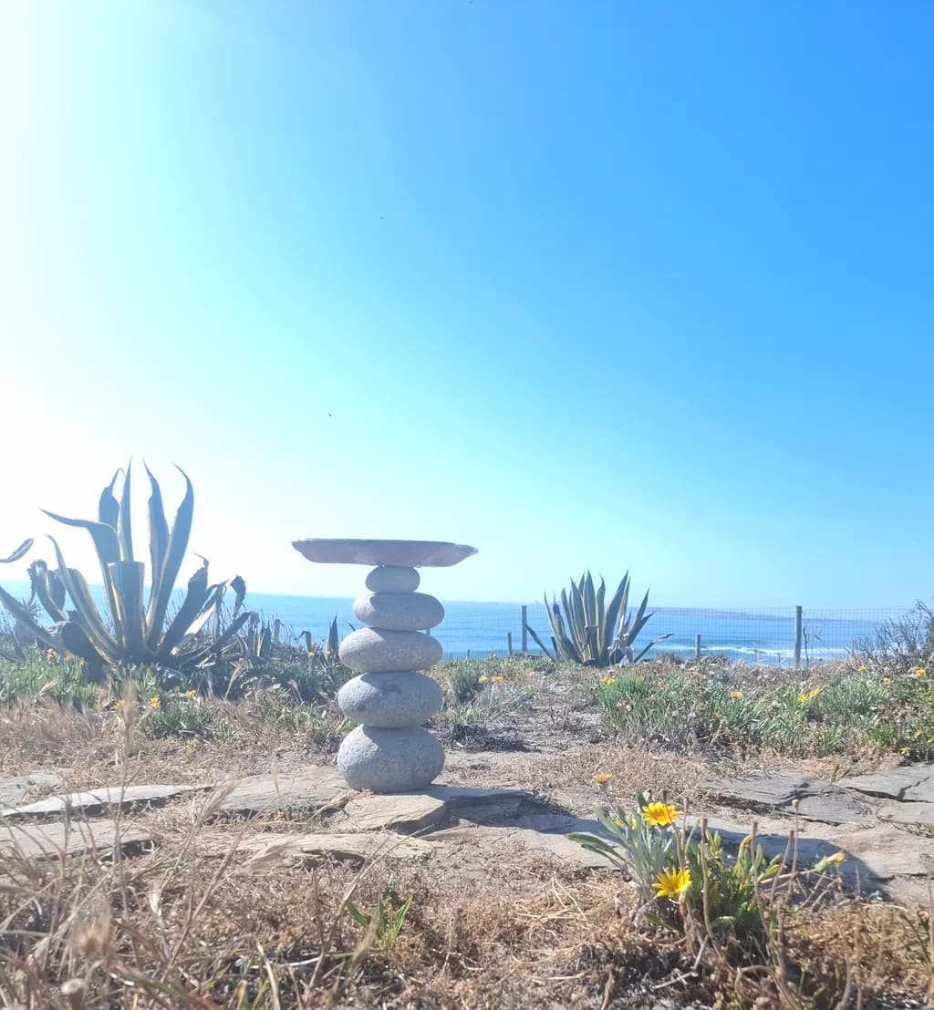 Coastal Stone Balance
