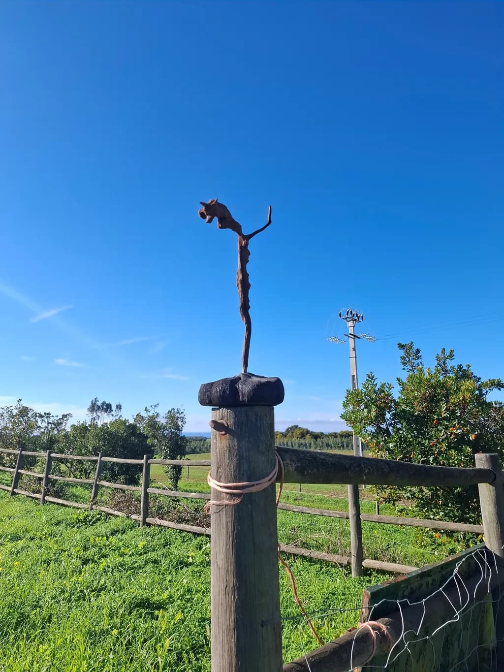 Rusty Sentinel