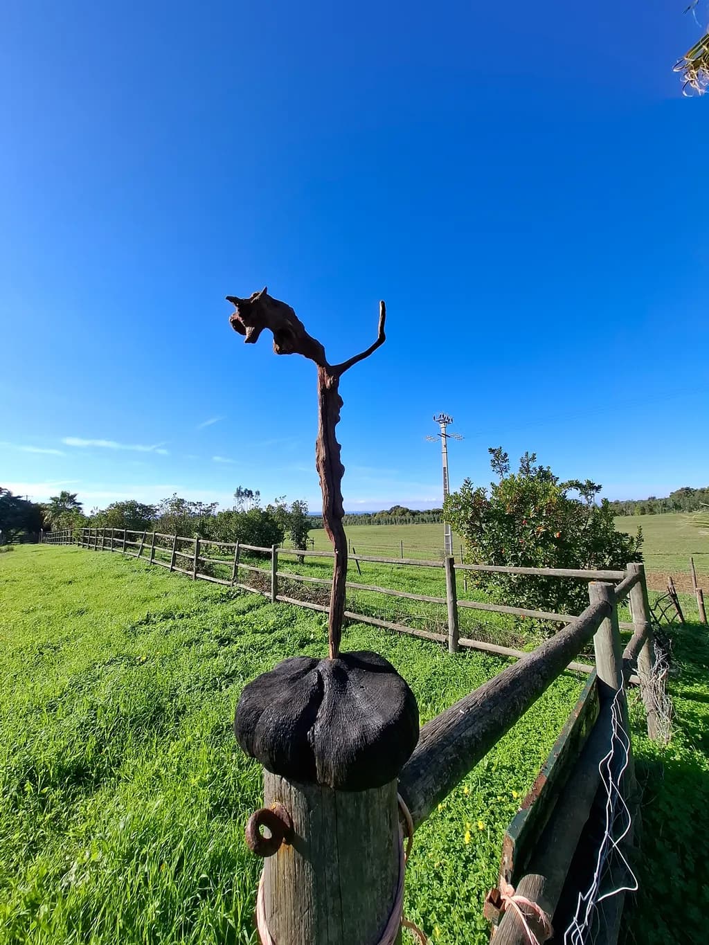 Rustic Sentinel