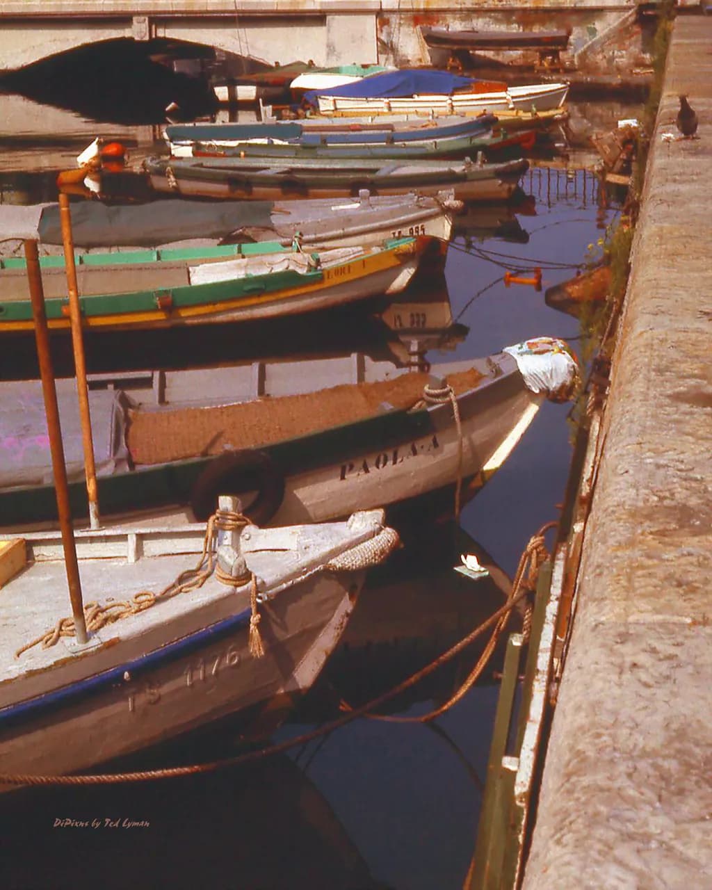 Serenity in the Harbor: A Dance of Colorful Boats on Tranquil Waters