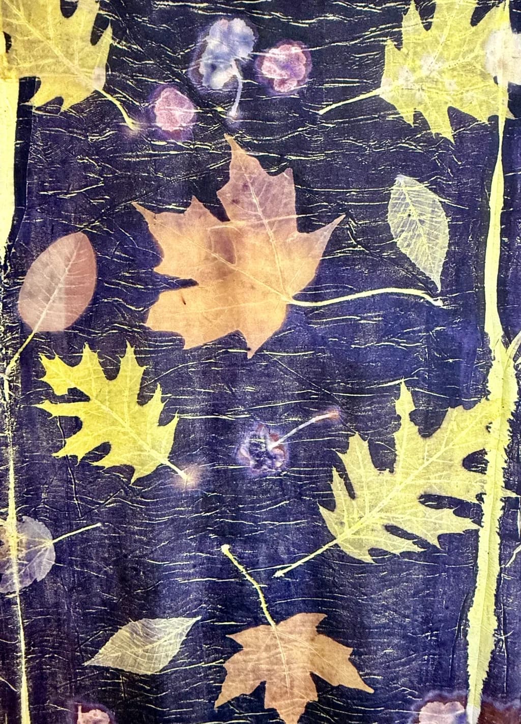 Faded Leaves