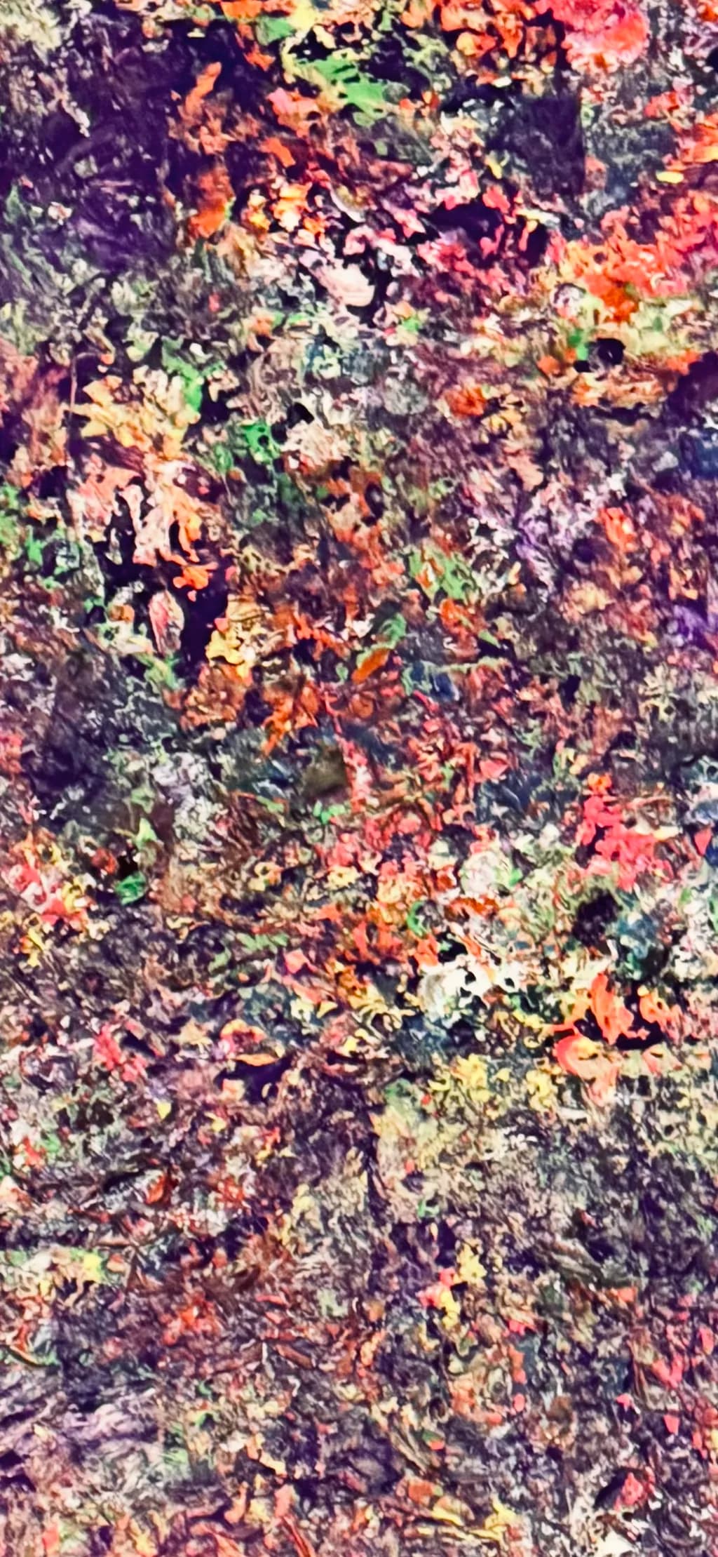 Colorful Chaos