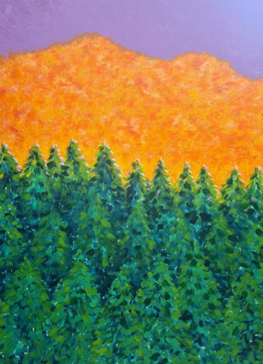Autumn Forest Glow