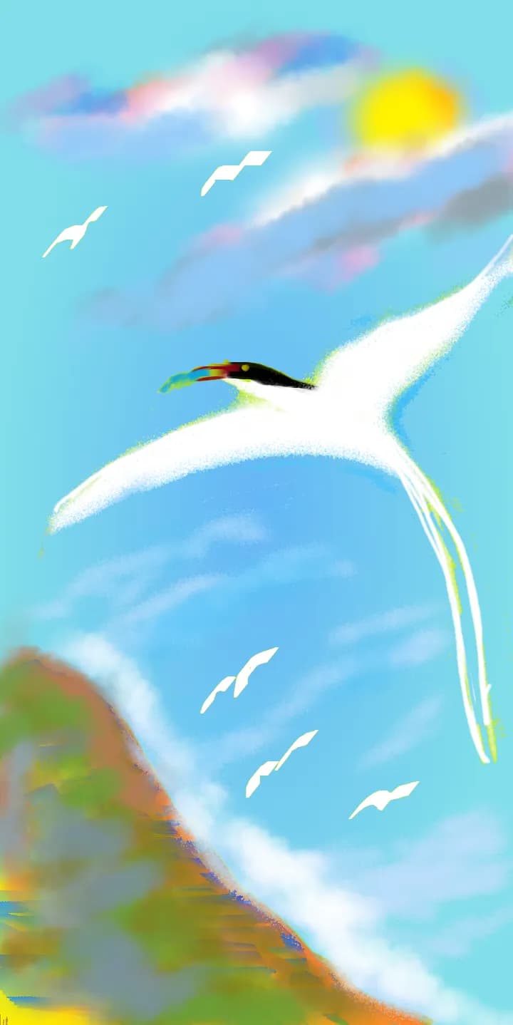 Soaring Serenity