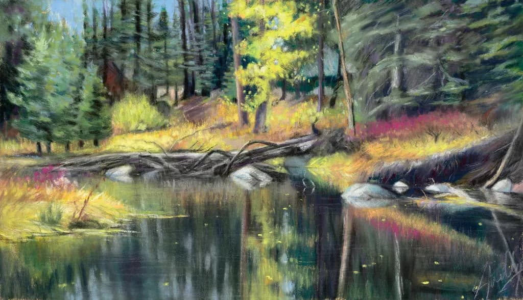 Tranquil Reflections