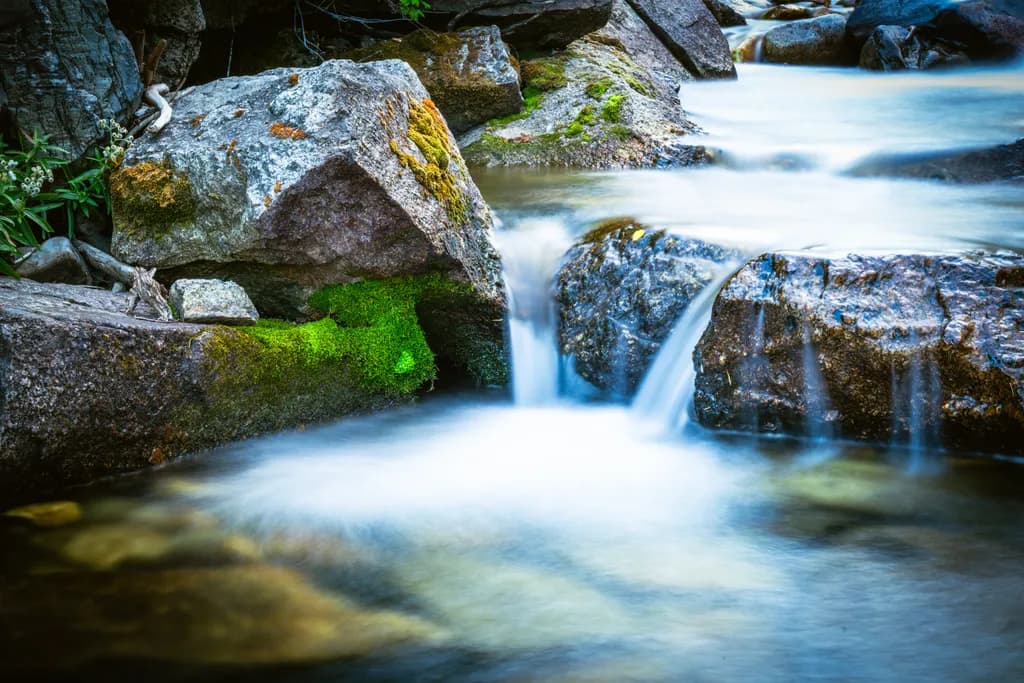 Alta Stream