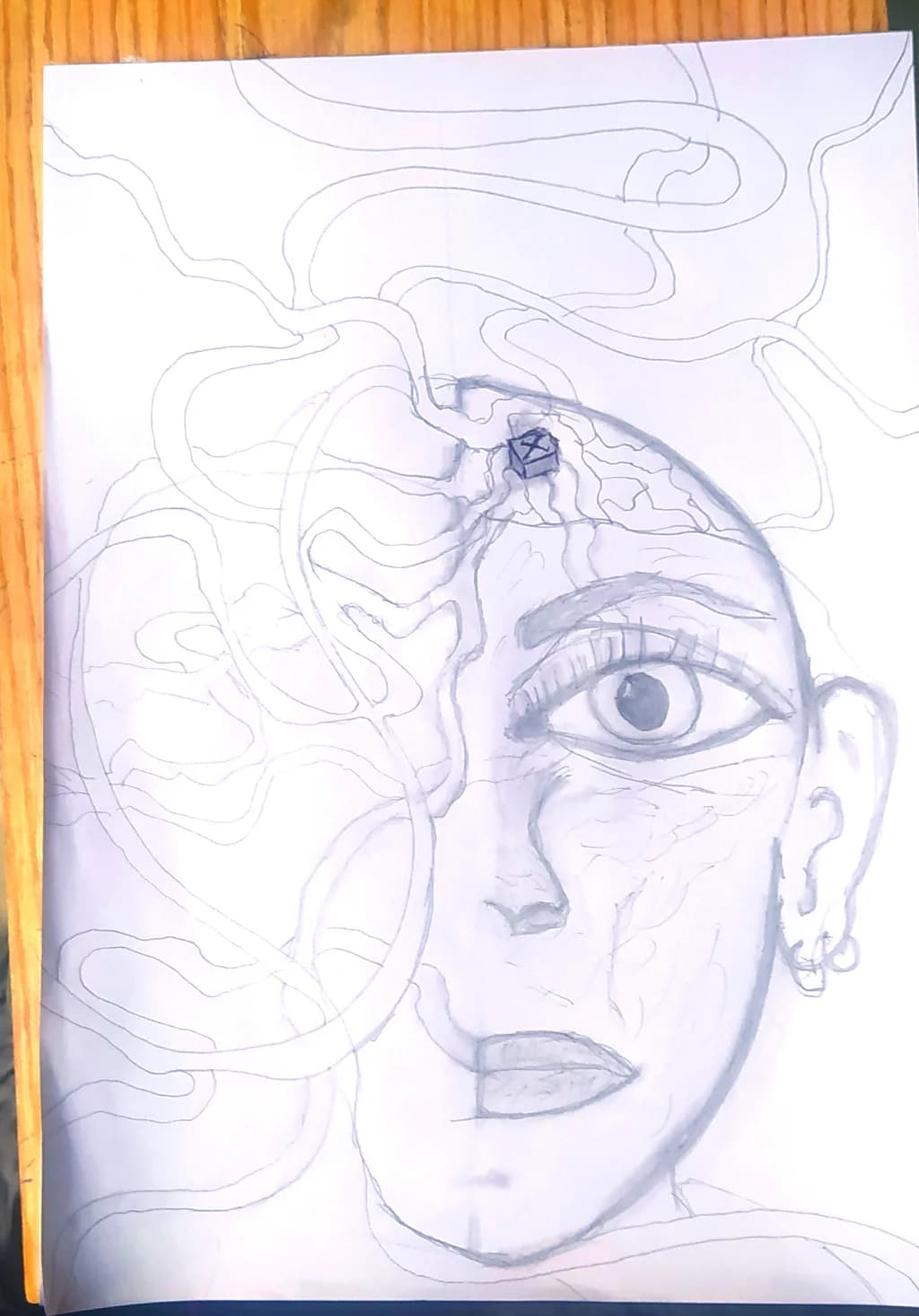 Veiled Reflections
