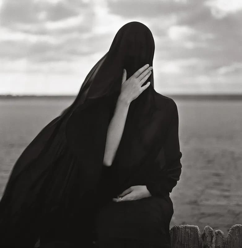 Veiled Silence