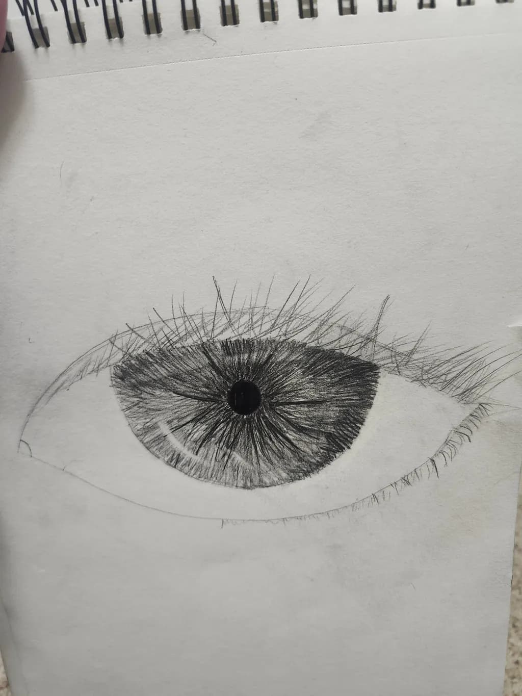 Detailed Eye Study