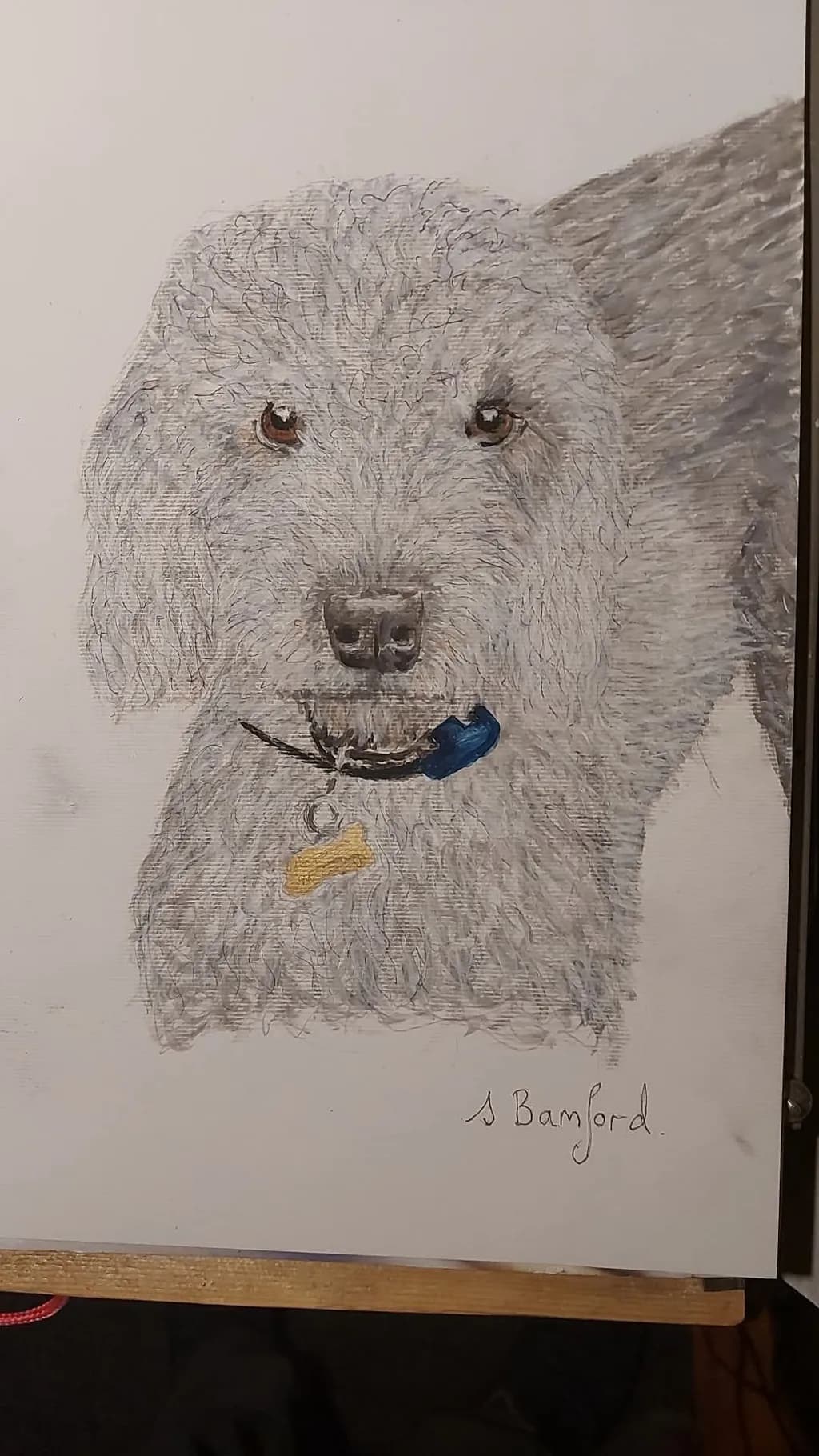 Furry Companion