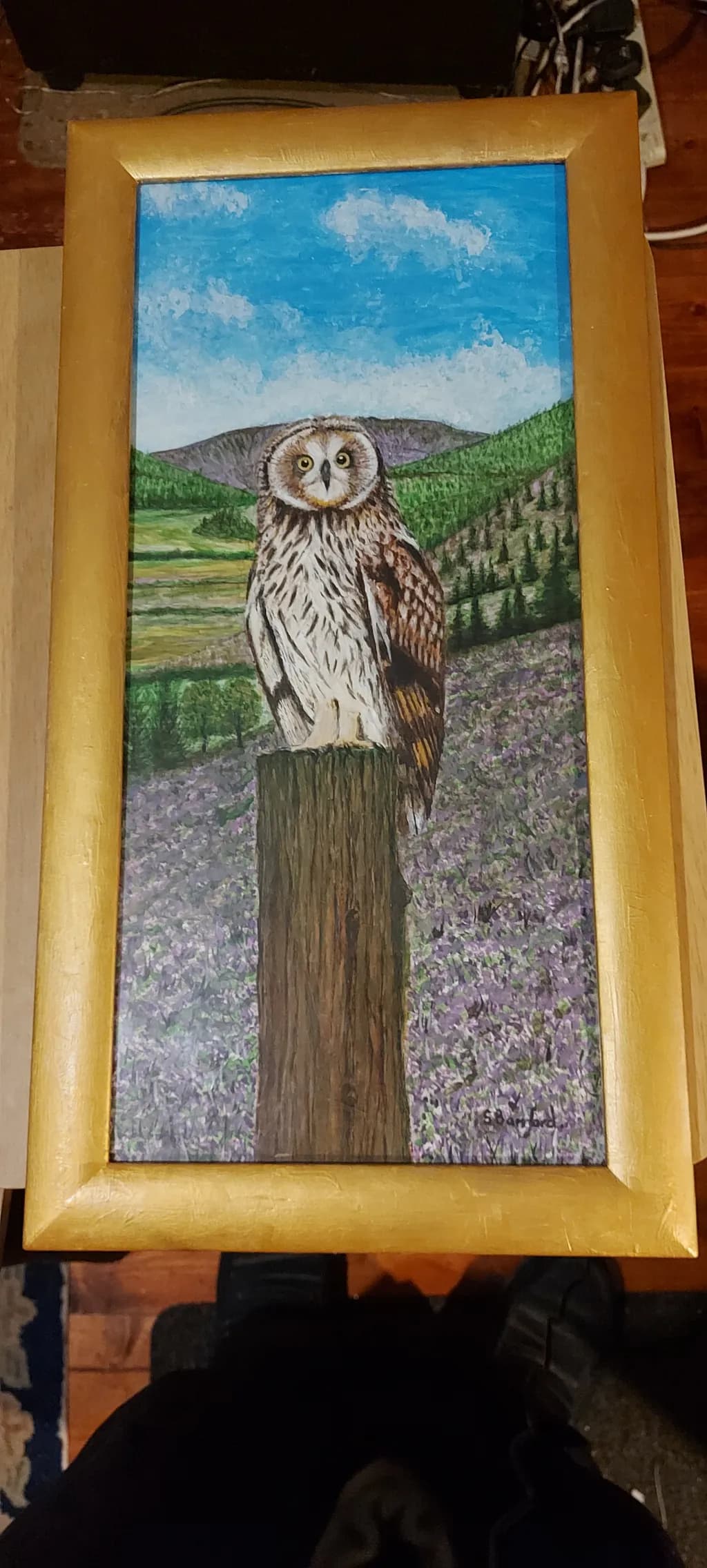 Owl in Nature