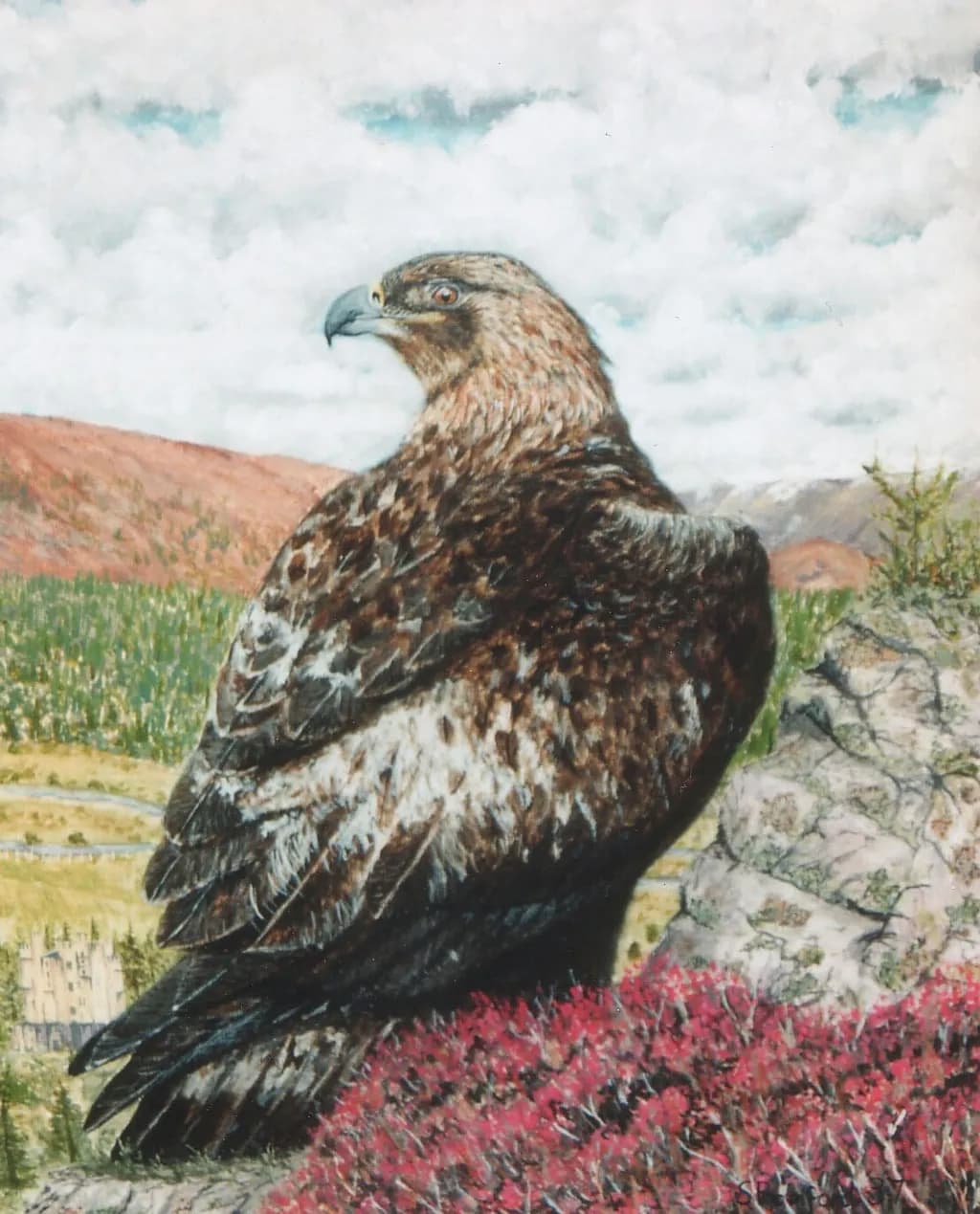 Majestic Eagle