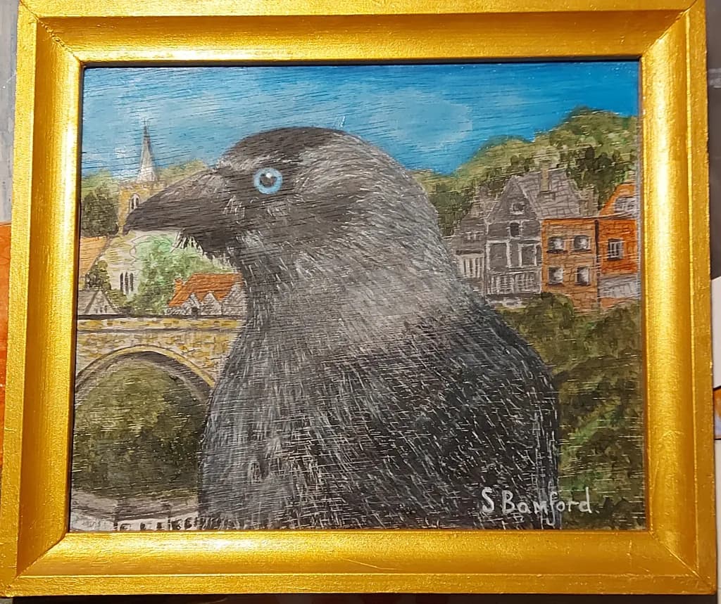 Jackdaw 