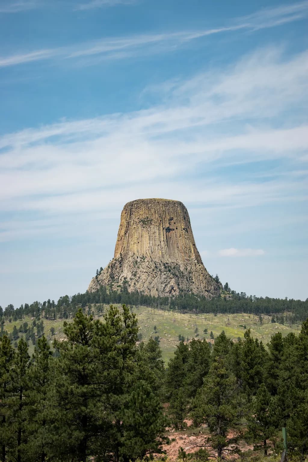 Towering Presence