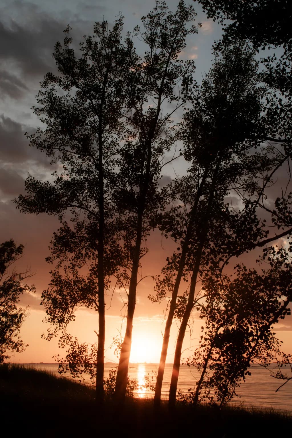 Sunset Silhouettes