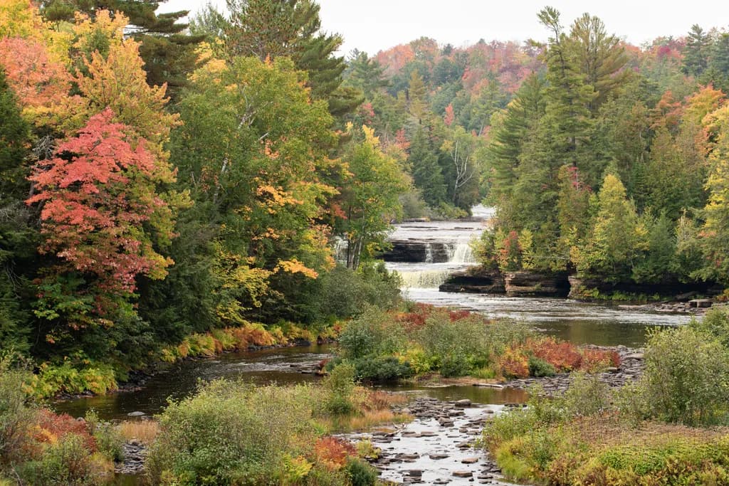 Autumn Reflections